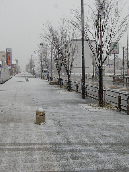 沿街雪景-1