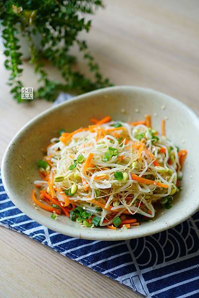 簡單高纖涼拌菜 涼拌豆芽菜 黃豆芽 食譜影片 小田太太の玩樂廚房 痞客邦