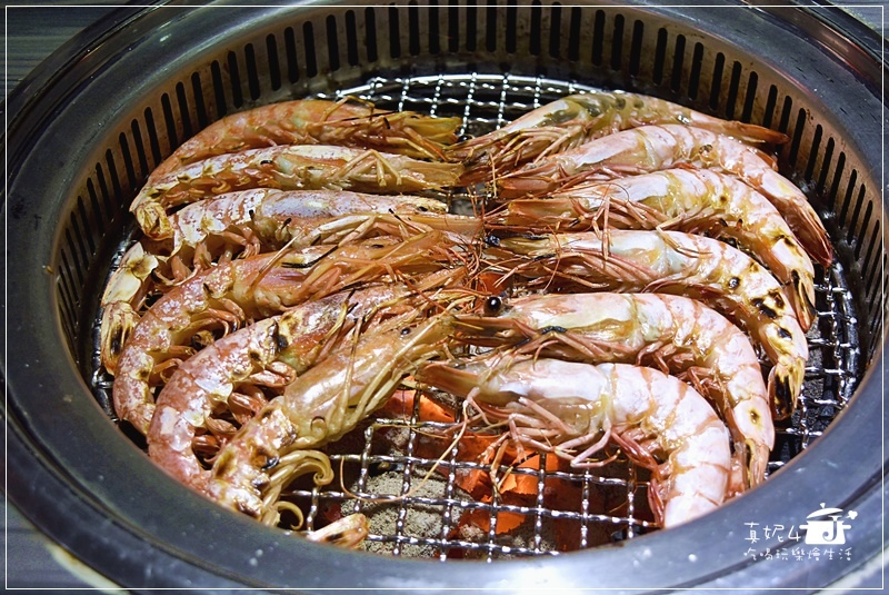 21DSC_0409.JPG 21DSC_0409.JPG