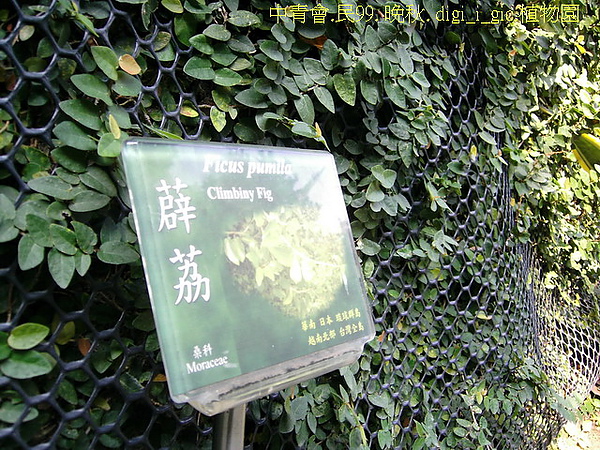 台灣台中植物園.jpg