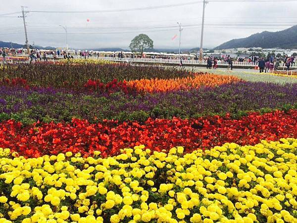 12336338_1028026173886106_1939407261_n.jpg 12336338_1028026173886106_1939407261_n.jpg