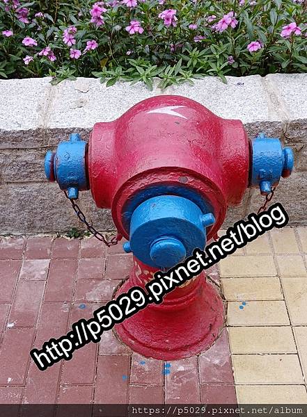 無法取水的消防栓