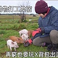 動物1.jpg