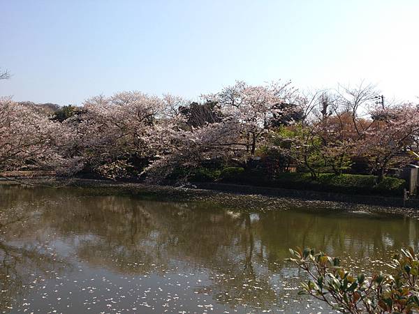 鶴岡八幡宮