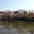 鶴岡八幡宮