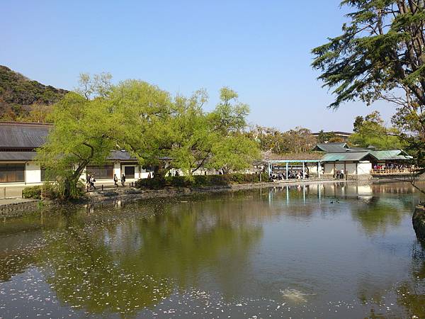 鶴岡八幡宮