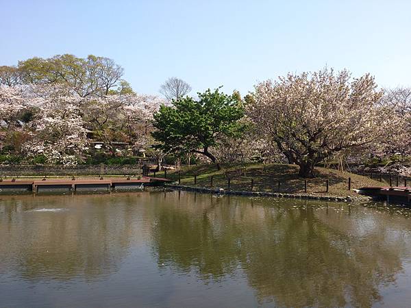 鶴岡八幡宮