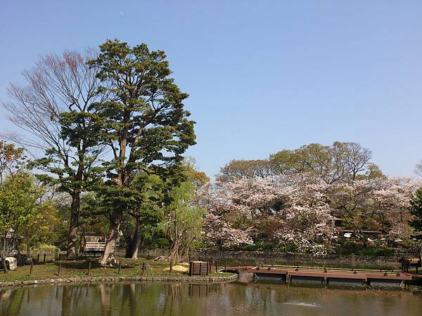 鶴岡八幡宮