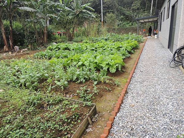 DSCN9685-1 DSCN9685-1