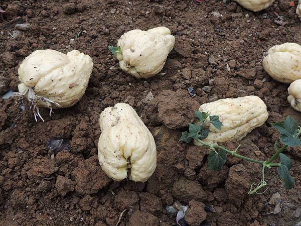 DSCN9685-2 DSCN9685-2