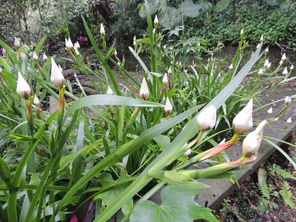 DSCN0961.JPG DSCN0961.JPG