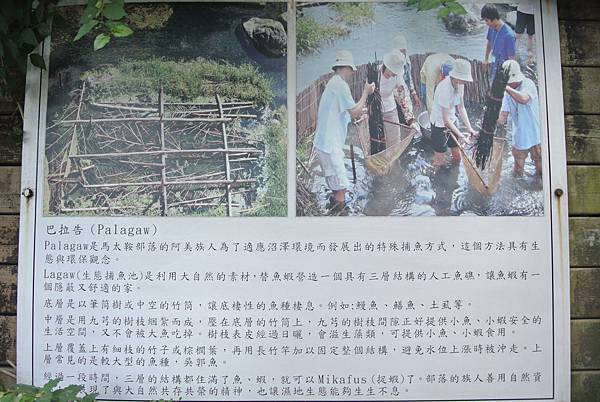 20140831新綠農園-巴拉告捕魚19.JPG