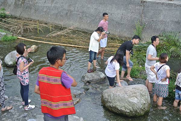 20140831新綠農園-巴拉告捕魚05.JPG