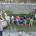 20140831新綠農園-巴拉告捕魚06.JPG