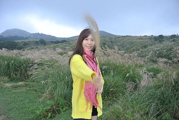 擎天崗賞芒草07.JPG 擎天崗賞芒草07.JPG