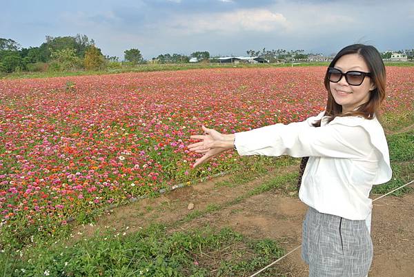 20151201 宮原眼科+新社花海+赤鬼牛排151.JPG