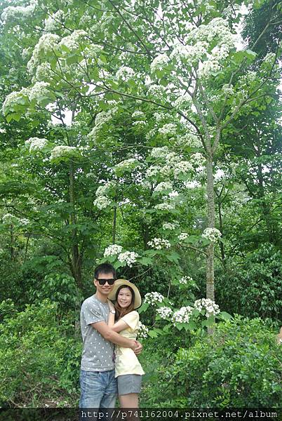 20160430 斗六荷苞山+嘉義竹崎公園(花仙子%26;天空步道) 17.JPG 20160430 斗六荷苞山+嘉義竹崎公園(花仙子%26;天空步道) 17.JPG