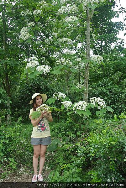 20160430 斗六荷苞山+嘉義竹崎公園(花仙子%26;天空步道) 18.JPG