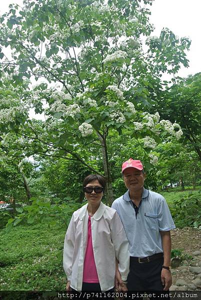 20160430 斗六荷苞山+嘉義竹崎公園(花仙子&天空步道) 06.JPG