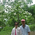 20160430 斗六荷苞山+嘉義竹崎公園(花仙子&天空步道) 06.JPG