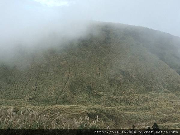 手機上傳-20161120 陽明山夢幻湖賞芒草 08.JPG