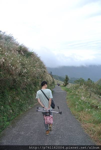 20161120 陽明山夢幻湖賞芒草 68.JPG