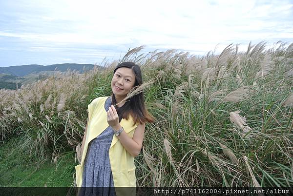 20161120 陽明山夢幻湖賞芒草 18.JPG