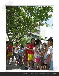 五甲社區自治幼兒園IMG_2333-5.JPG