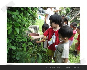 五甲社區自治幼兒園IMG_2341-8.JPG