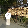 成田山新勝寺 滿滿的繪馬