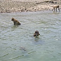 20050329泰國 猴子島