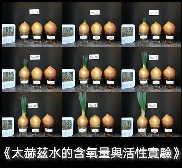 Olylife兆能儀P90 認識太赫茲光波