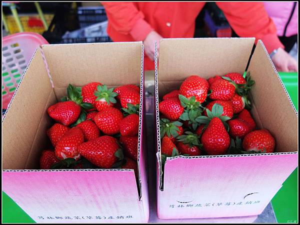 草莓2箱.jpg
