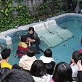 201112Bap61.JPG