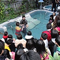 201112Bap73.JPG