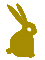 rabbit3