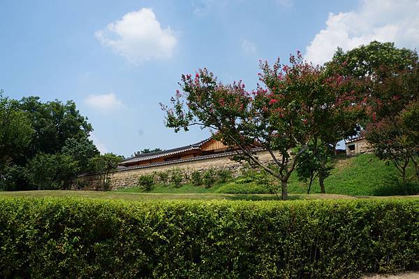 DSC00963.JPG DSC00963.JPG