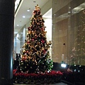 公司1F聖誕樹