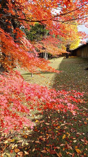 東寺