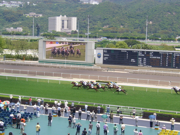 沙田馬場