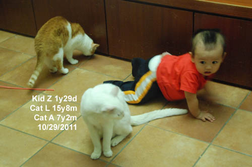 babies20111029_1.jpg babies20111029_1.jpg