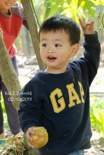 babies130210_2 babies130210_2