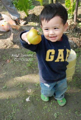 babies130210_3 babies130210_3
