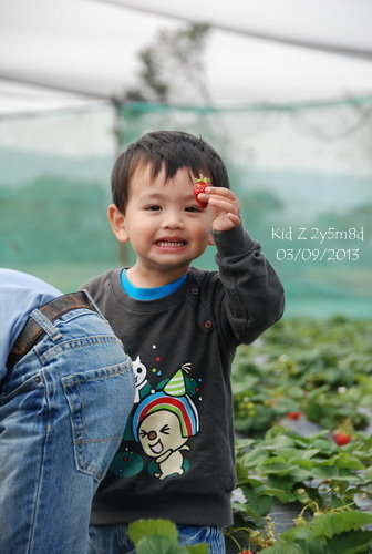 babies130309_1