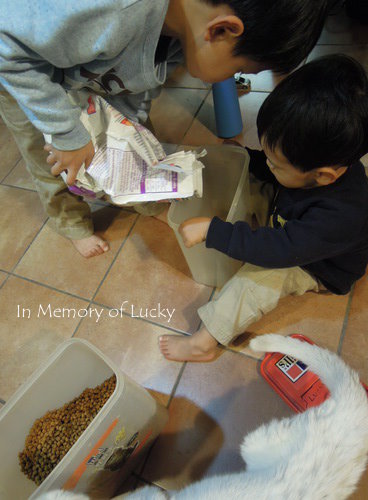 lucky0224 lucky0224