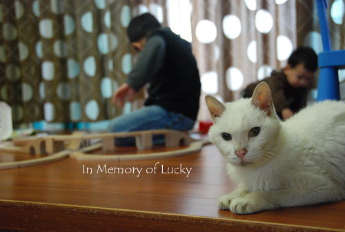 lucky130202 lucky130202