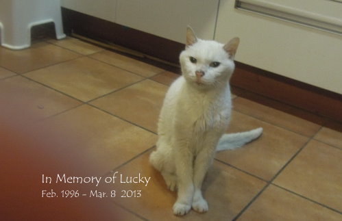 lucky130124 lucky130124