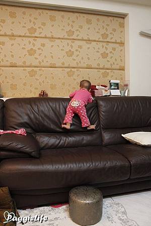 a _MG_1720 a _MG_1720