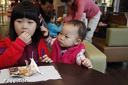 _MG_2919 _MG_2919
