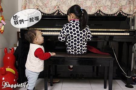 _MG_2565 _MG_2565